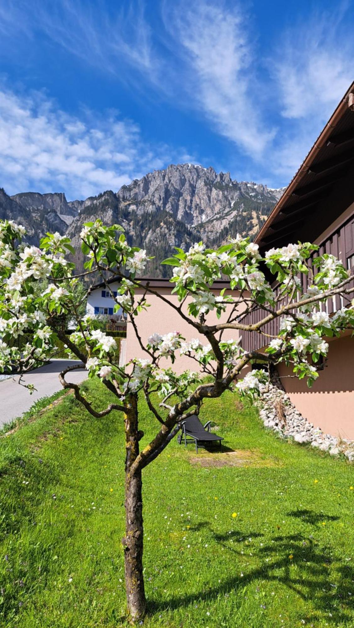Baers Mountain Ausserbraz Innerbraz